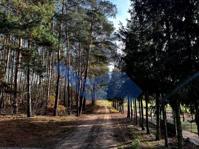 Grunt na sprzedaż w Józefowo, Kujawsko-pomorskie