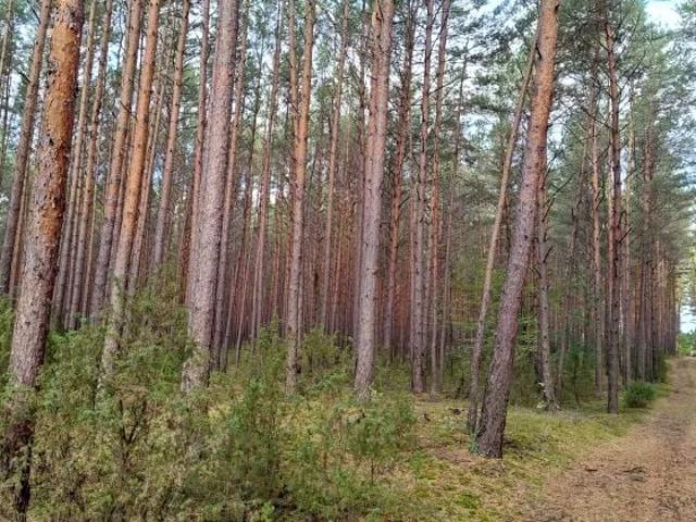 Grunt na sprzedaż w Ostrołęka, Mazowieckie