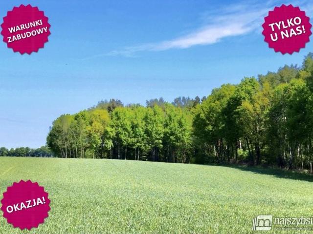 Grunt na sprzedaż w Kołobrzeg, Zachodniopomorskie