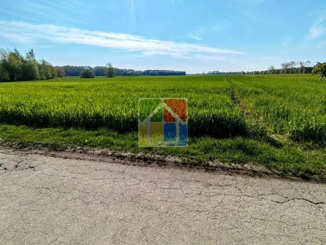 Grunt na sprzedaż w Gostynin, Mazowieckie