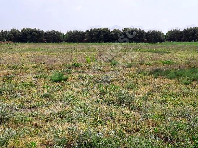 Grunt na sprzedaż w Kruszwica, Kujawsko-pomorskie