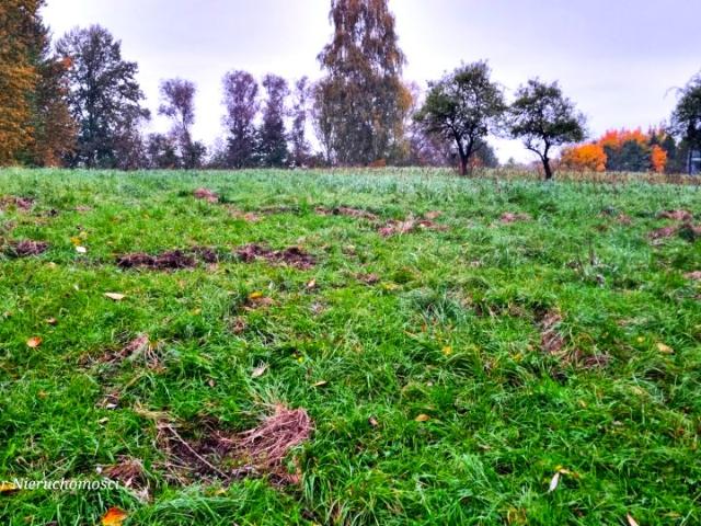 Grunt na sprzedaż w Kozy, Śląskie