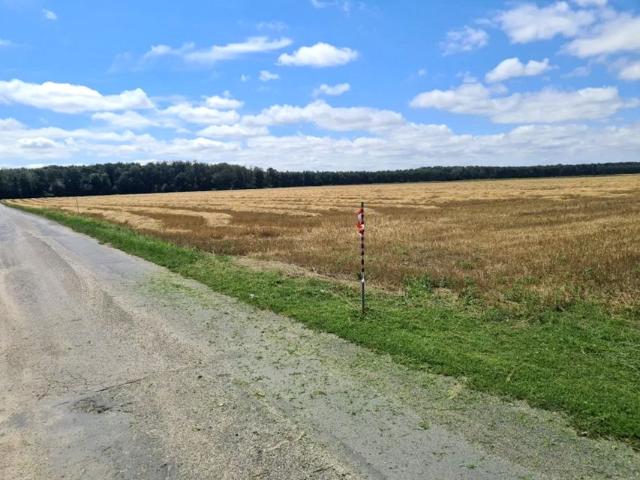 Grunt na sprzedaż w Stęszew, Wielkopolskie