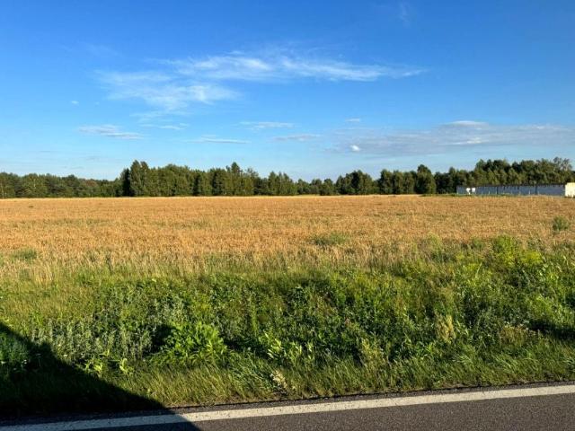 Grunt na sprzedaż w Klembów, Mazowieckie
