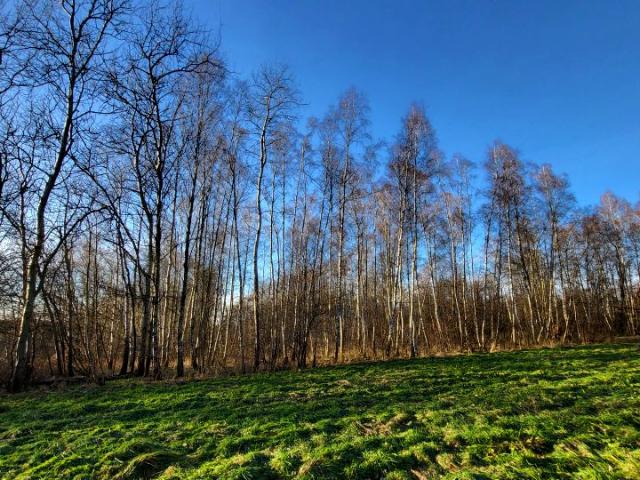 Grunt na sprzedaż w Tarnów, Małopolskie