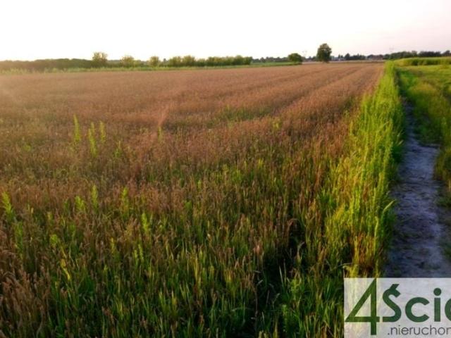 Grunt na sprzedaż w Błonie, Mazowieckie
