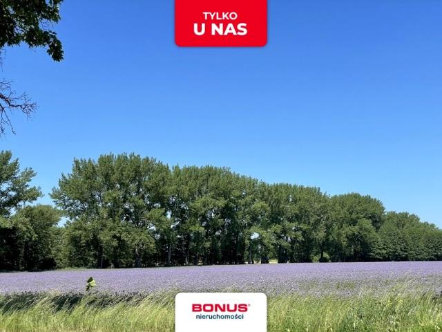 Grunt na sprzedaż w Moryń, Zachodniopomorskie