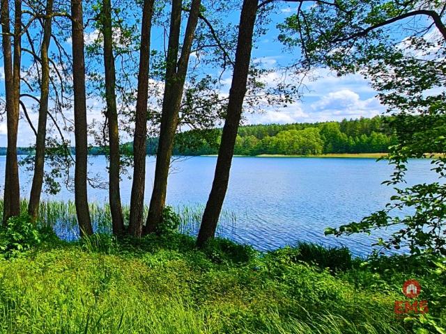 Grunt na sprzedaż w Dąbrówno, Warmińsko-mazurskie