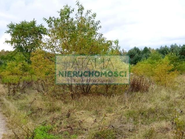 Grunt na sprzedaż w Wiskitki, powiat żyrardowski