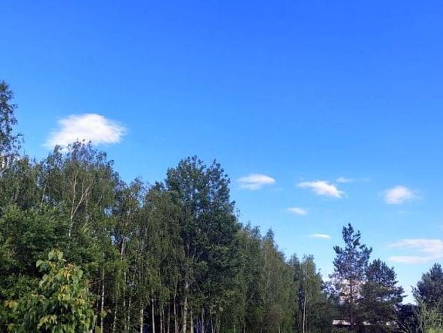 Grunt na sprzedaż w Rusiec, Mazowieckie
