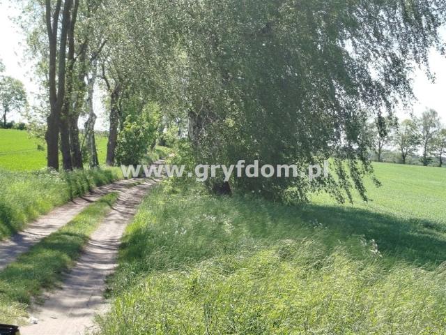 Grunt na sprzedaż w Gryfice, Zachodniopomorskie
