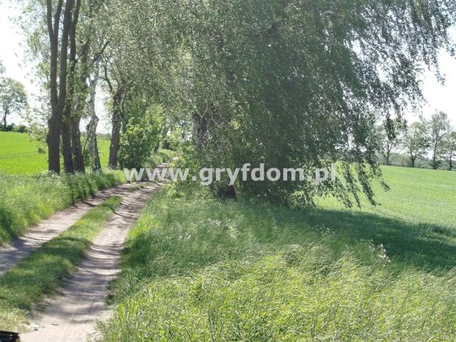 Grunt na sprzedaż w Gryfice, Zachodniopomorskie