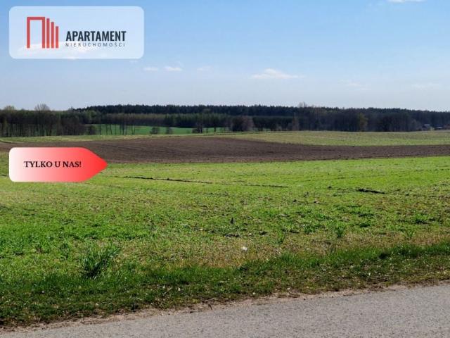 Grunt na sprzedaż w Rogowo, Kujawsko-pomorskie
