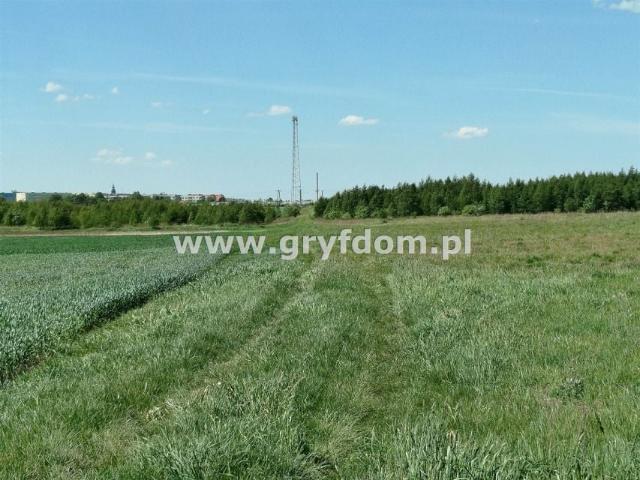 Grunt na sprzedaż w Gryfice, Zachodniopomorskie