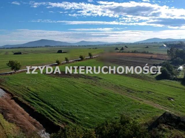 Grunt na sprzedaż w Wilków, Dolnośląskie