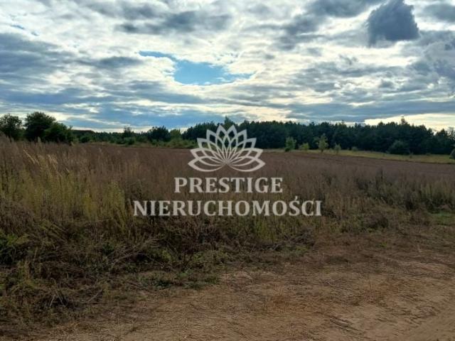 Grunt na sprzedaż w Kruszyn, powiat bydgoski