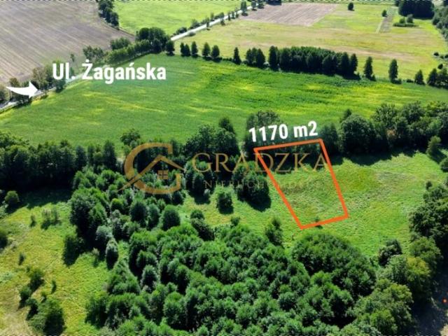 Grunt na sprzedaż w Zielona Góra, Lubuskie