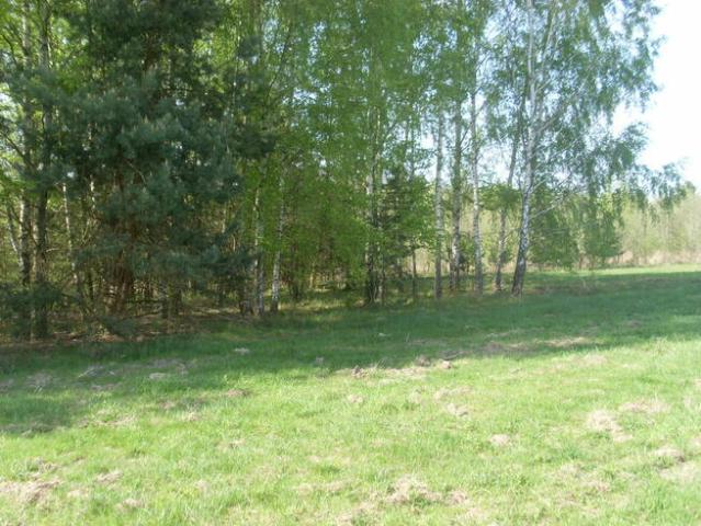Grunt na sprzedaż w Mszczonów, Mazowieckie
