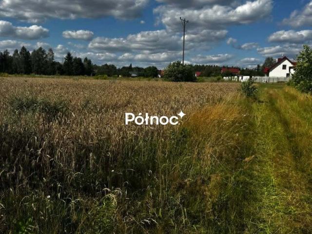 Grunt na sprzedaż w Bedlno, Świętokrzyskie