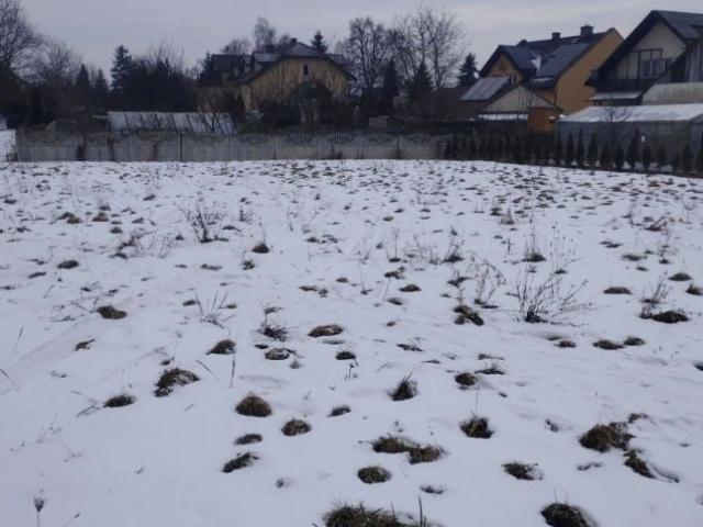 Grunt na sprzedaż w Borek Szlachecki, Małopolskie