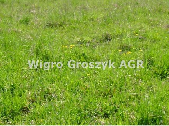 Grunt na sprzedaż w Czosnów, Mazowieckie