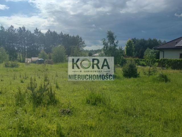 Grunt na sprzedaż w Dębowiec, Wielkopolskie