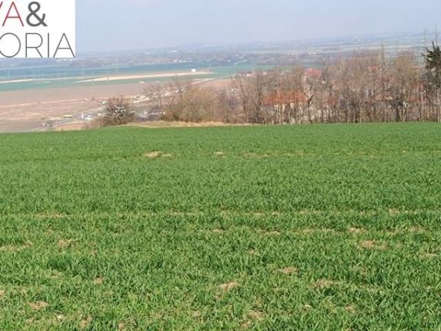 Grunt na sprzedaż w Dobromierz, Dolnośląskie