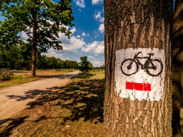 Grunt na sprzedaż w Mszczonów, powiat żyrardowski