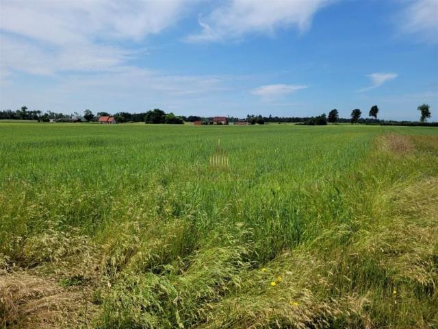 Grunt na sprzedaż w Łochowo, Kujawsko-pomorskie