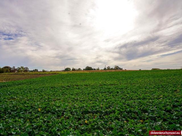 Grunt na sprzedaż w Osielsko, Kujawsko-pomorskie