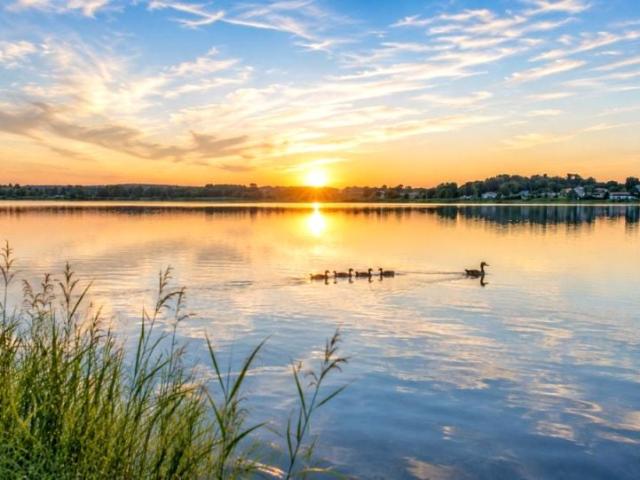 Grunt na sprzedaż w Połajewo, Kujawsko-pomorskie