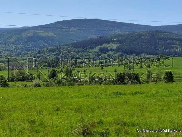 Grunt na sprzedaż w Świeradów-zdrój, Dolnośląskie
