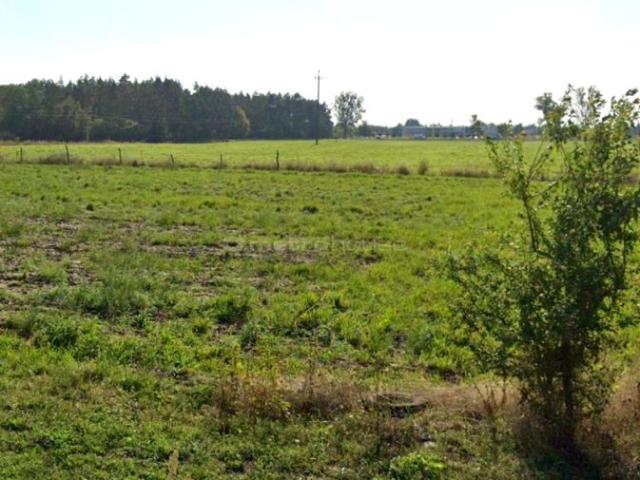 Grunt na sprzedaż w Złotkowo, Wielkopolskie