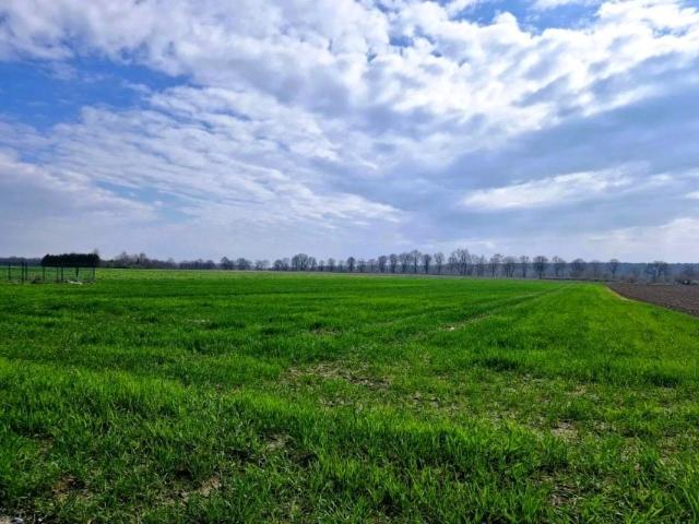 Grunt na sprzedaż w Frombork, Warmińsko-mazurskie