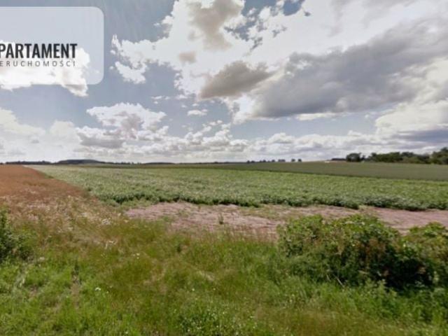 Grunt na sprzedaż w Nowy Dwór, Wielkopolskie