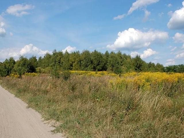 Grunt na sprzedaż w Wawrów, Lubuskie