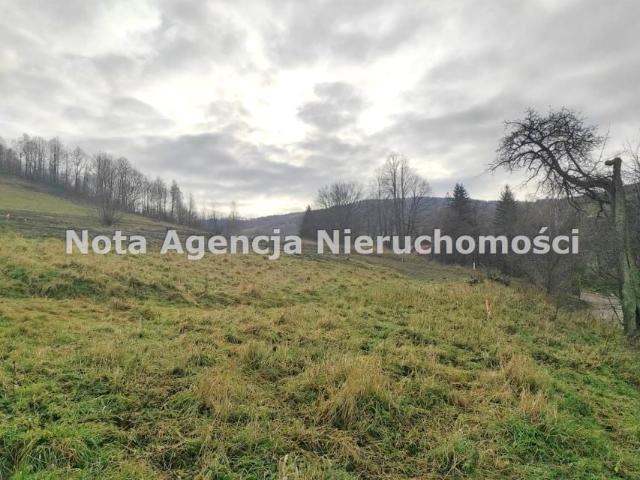 Grunt na sprzedaż w Jugowice, Dolnośląskie