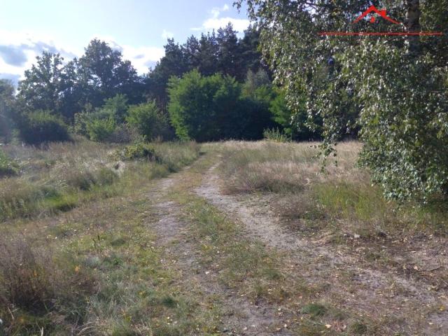 Grunt na sprzedaż w Toruń, Kujawsko-pomorskie