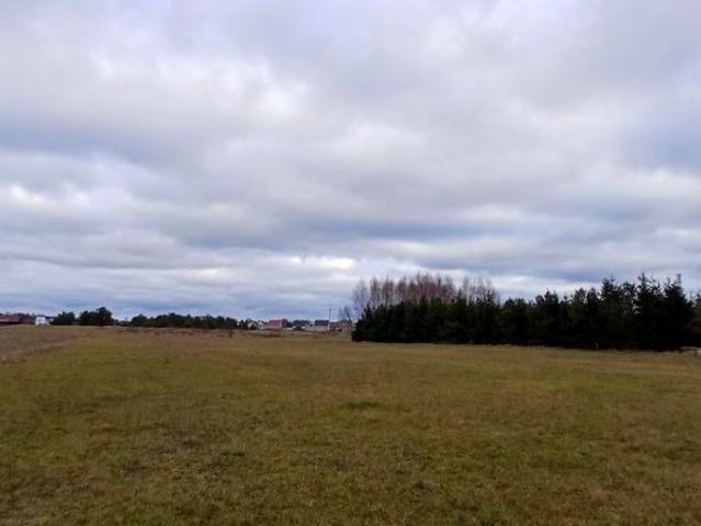 Grunt na sprzedaż w Zabłudów, Podlaskie