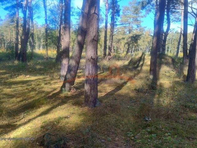 Grunt na sprzedaż w Dziwnów, Zachodniopomorskie