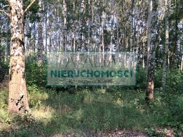 Grunt na sprzedaż w Jaktorów, powiat grodziski