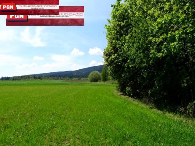 Grunt na sprzedaż w Bystrzyca Kłodzka, Dolnośląskie