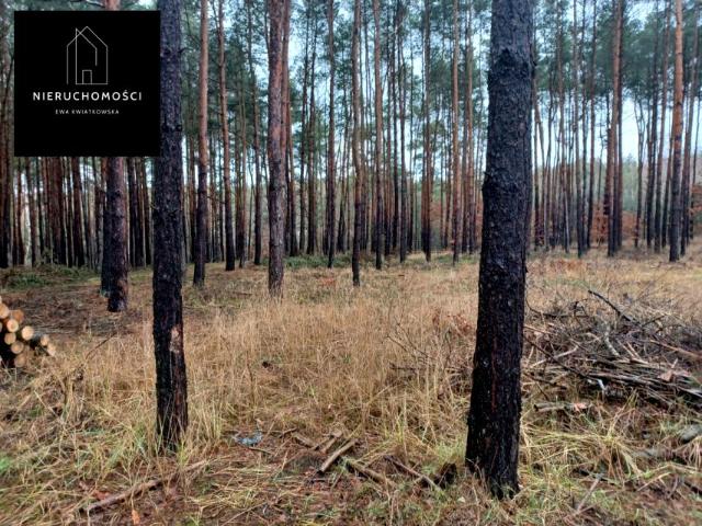 Grunt na sprzedaż w Gąsawa, Kujawsko-pomorskie