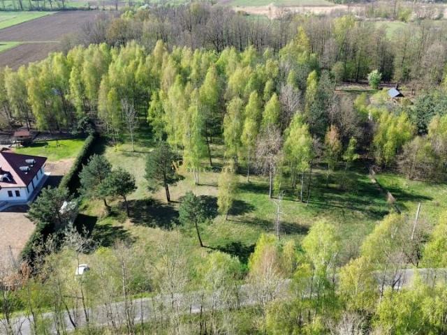 Grunt na sprzedaż w Dąbrowa Tarnowska, Małopolskie