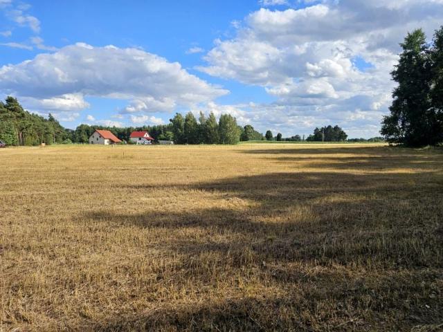 Grunt na sprzedaż w Kościelec, Wielkopolskie