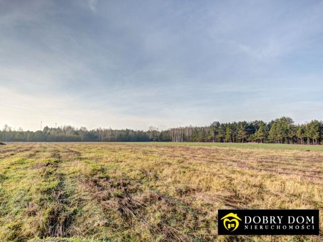 Grunt na sprzedaż w Narewka, Podlaskie