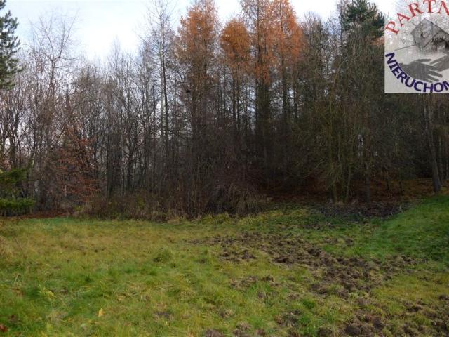 Grunt na sprzedaż w Młoszowa, Małopolskie