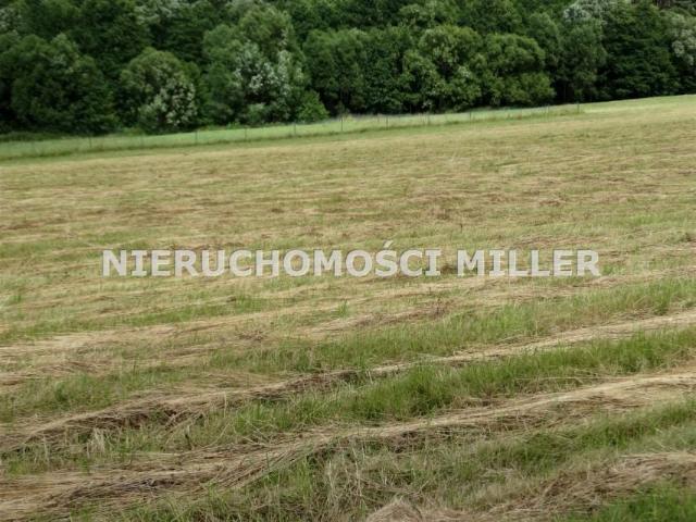 Grunt na sprzedaż w Czarny Bór, Dolnośląskie