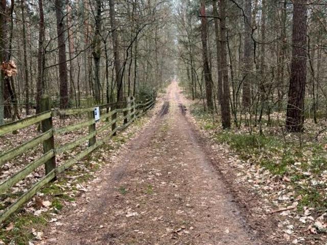 Grunt na sprzedaż w Wilkowyja, Mazowieckie