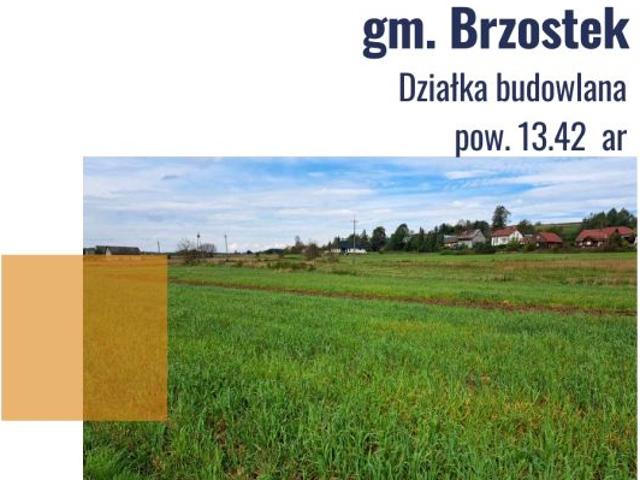 Grunt na sprzedaż w Brzostek, Podkarpackie